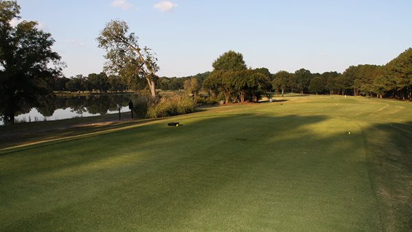 #6 Fairway View